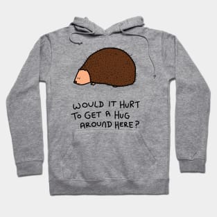 Grumpy Hedgehog Hoodie